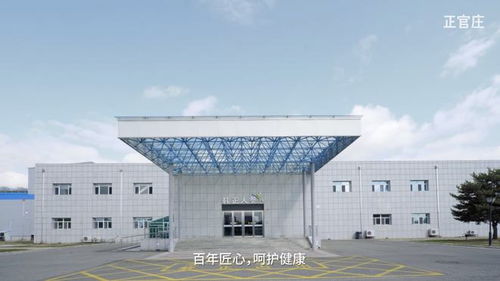 秋冬滋補用好參,東莞國藥正官莊